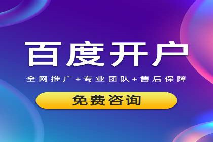 SEM优化实战：案例分析与优化建议