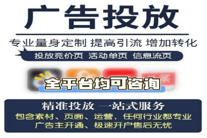 SEM服务案例：打造行业领先品牌